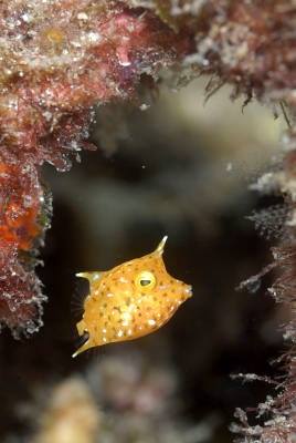 �����@��l